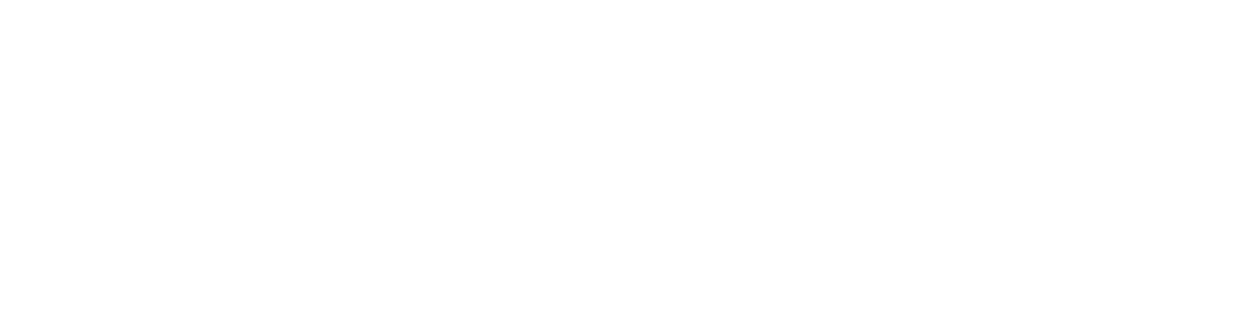 braavos white logo